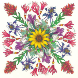 Wildflower Mandala