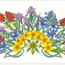 Celtic Wildflower Fan<br>
Deborah K. Snider, copyright 2004<br>
Archival Markers<br>
Original Artwork in Private Collection<br>
Giclees available, $150 unframed<br>
Giclee image size 10.5 x 17.5 inches Celtic Wildflower Fan