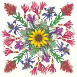 Wildflower Mandala<br>
Deborah K. Snider, copyright 2003<br>
Archival Markers<br>
Original Artwork in Private Collection<br>
Giclees available, $150 unframed<br>
Giclee image size 13 x 14 inches Wildflower Mandala
