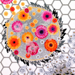 Bees' Knees II: Ghost Bees<br>
Deborah K. Snider, copyright 2008<br>
Mixed-Media Collage, Graphite, Fabric<br>
28 x 28 inches<br>
Private Collection (20% to University of Missouri Research in Bee Health) Bees' Knees II: Ghost Bees