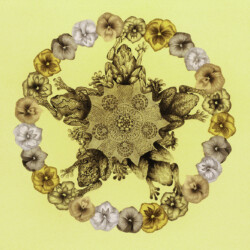 Druid's Grove<br>
Deborah K. Snider, copyright 1990<br>
Mixed-Media Collage, Graphite<br>
24 x 24 inches<br>
Private Collection Druid's Grove