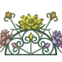 Lotus Fan<br>
Deborah K. Snider, copyright 2020<br>
Archival Markers<br>
Original Artwork Available, $750<br>
Giclees available, $150 unframed<br>
Original and Giclees 9.5 x 15.5 inches