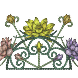 Lotus Fan<br>
Deborah K. Snider, copyright 2020<br>
Archival Markers<br>
Original Artwork Available, $750<br>
Giclees available, $150 unframed<br>
Original and Giclees 9.5 x 15.5 inches