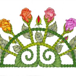 Rose Fan<br>
Deborah K. Snider, copyright 2020<br>
Archival Markers<br>
Original Artwork Available, $750<br>
Giclees available, $150 unframed<br>
Original and Giclees 9 x 15.75 inches Rose Fan